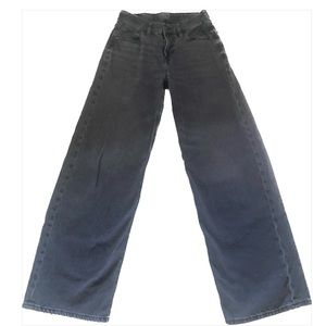 AE Low-Rise Baggy Wide-Leg Jean